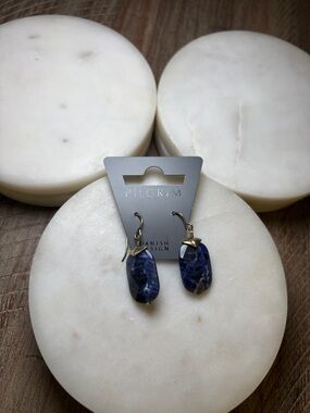 259 Pilgrim Navy Blue Faceted Stone Drop Earrings